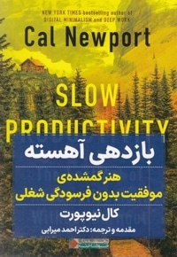 باز دهی آهسته